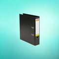 Sensa Imported Box File